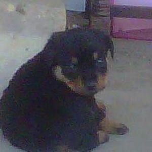 Meet your Posher, Zandrea